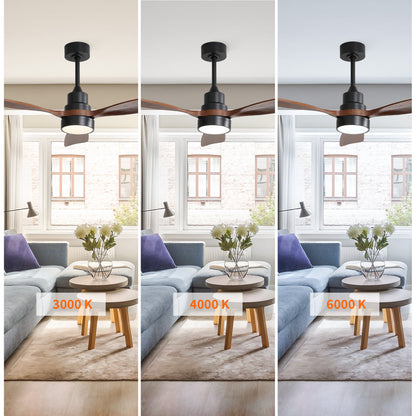 Taimei Auris 48 in. Downrod Standard Ceiling Fan with Integrated LED with Remote Included 3-Reversible Blades