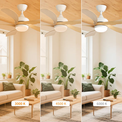 Taimei Sleek 52 in. Ceiling Fan - 5 Precision ABS Blades with Soft LED Light and Whisper-Quiet 6-Speed Remote Control 7_701d7188-99f0-456d-9031-6bb095477bd7