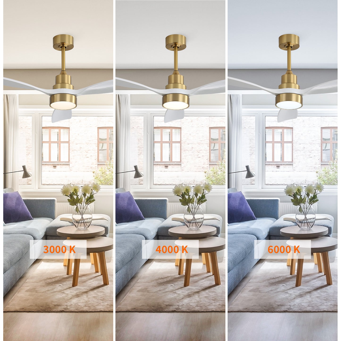 Taimei Auris 48 in. Downrod Standard Ceiling Fan with Integrated LED with Remote Included 3-Reversible Blades