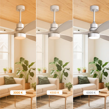 Taimei Selen 52 in. Downrod Standard Ceiling Fan with Integrated LED with Remote Included 3-Blade Reversible