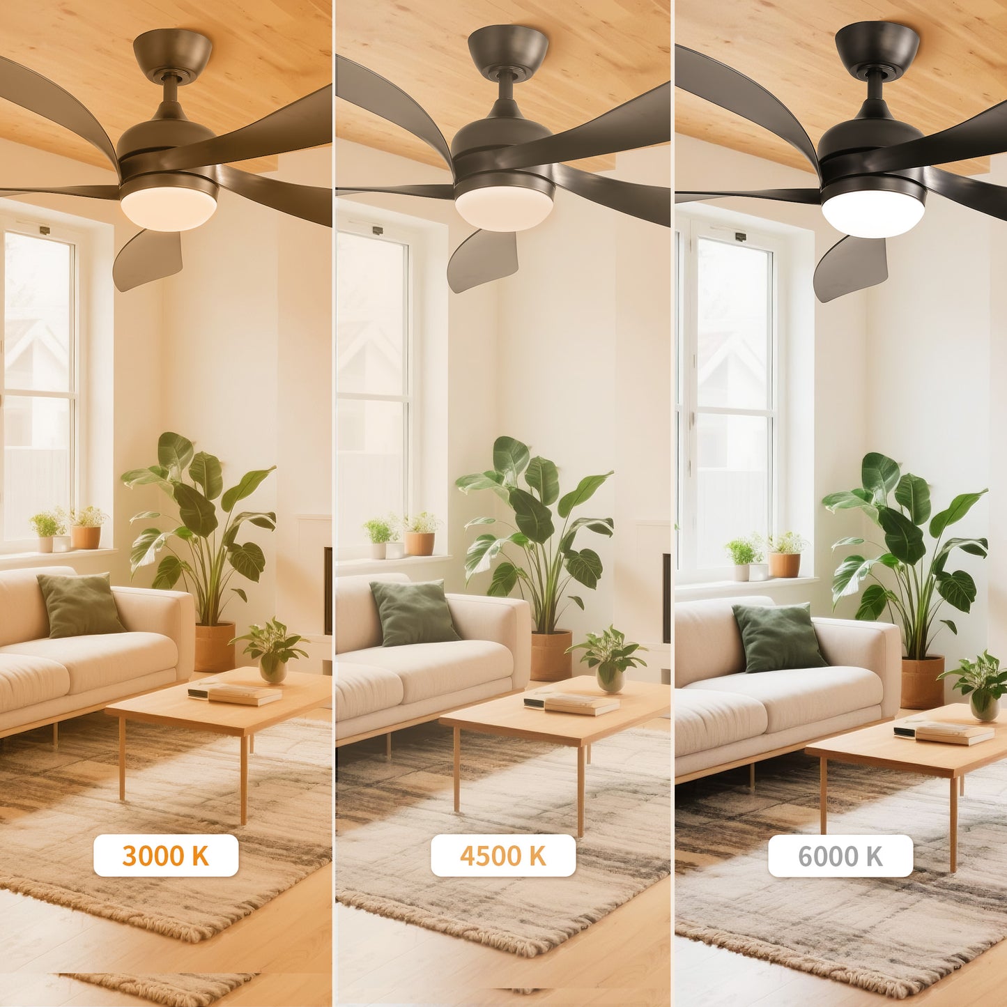 Taimei Sleek 52 in. Ceiling Fan - 5 Precision ABS Blades with Soft LED Light and Whisper-Quiet 6-Speed Remote Control 7_aa81fc0a-262f-4869-b392-775ae2f620fe