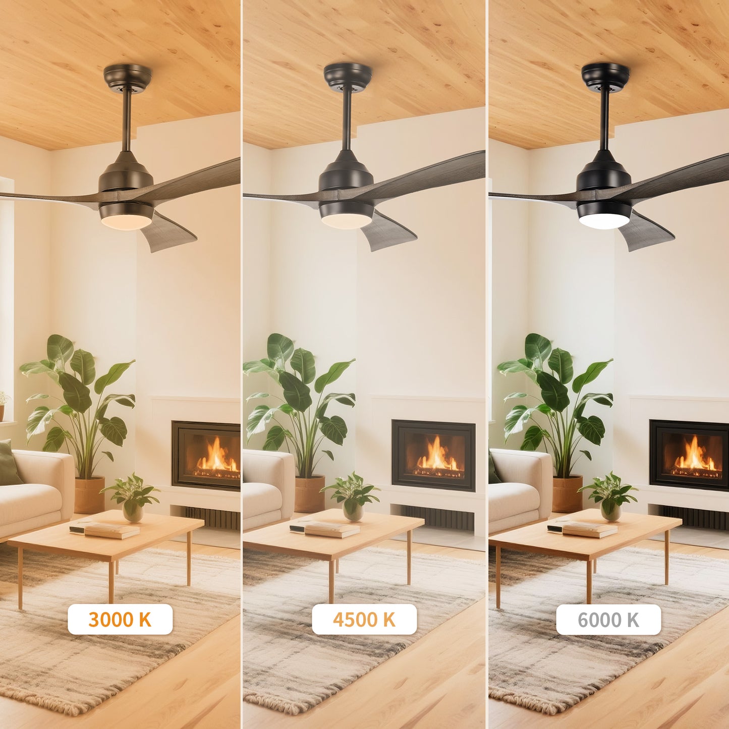 Taimei Helio 52 in. Downrod Modern Ceiling Fan with Dimmable LED with Remote Included DC Motor 7_bd828e7a-bf69-4534-aa36-12779ef1cf4b