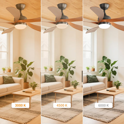 Taimei Sleek 52 in. Ceiling Fan - 5 Precision ABS Blades with Soft LED Light and Whisper-Quiet 6-Speed Remote Control 7_cc25680b-6f48-4c53-8f7e-d637a321c229