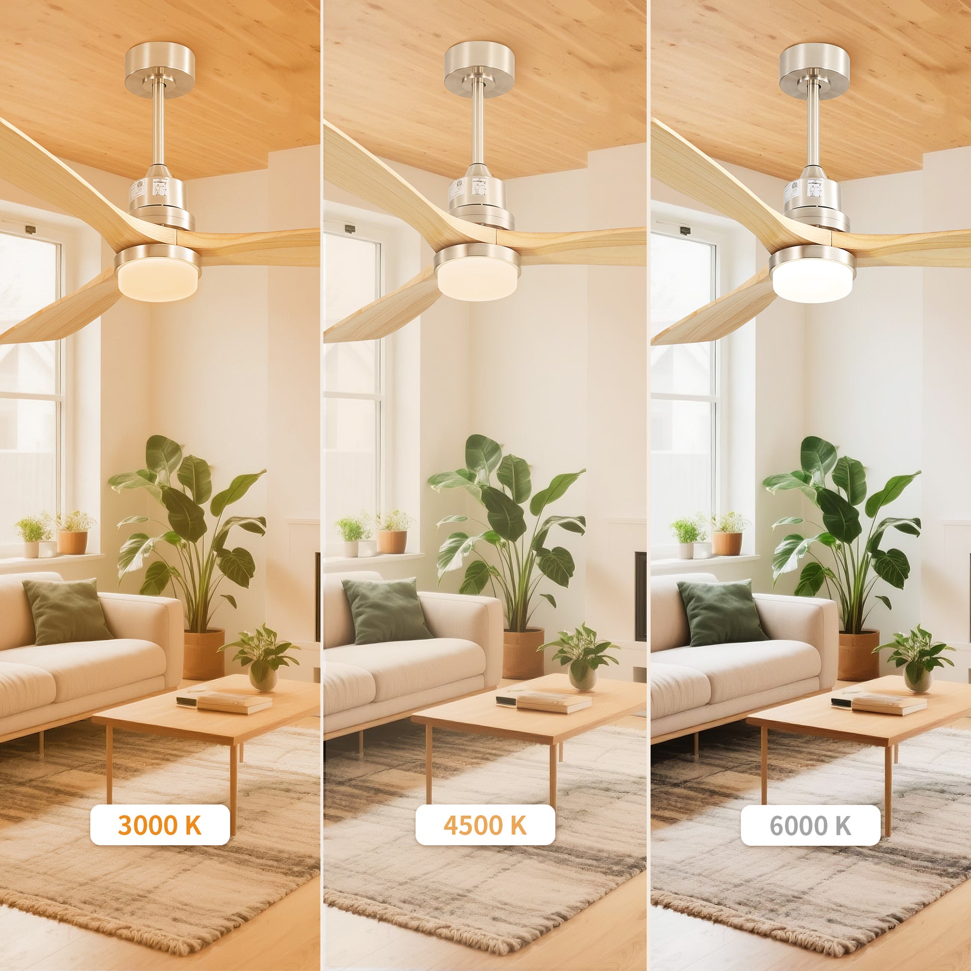 Taimei Nimis 52 in. Downrod Standard Ceiling Fan with Integrated LED with Remote Included DC Motor 7_cf9ec7e0-7221-4635-ba8c-2a720cc62b9b