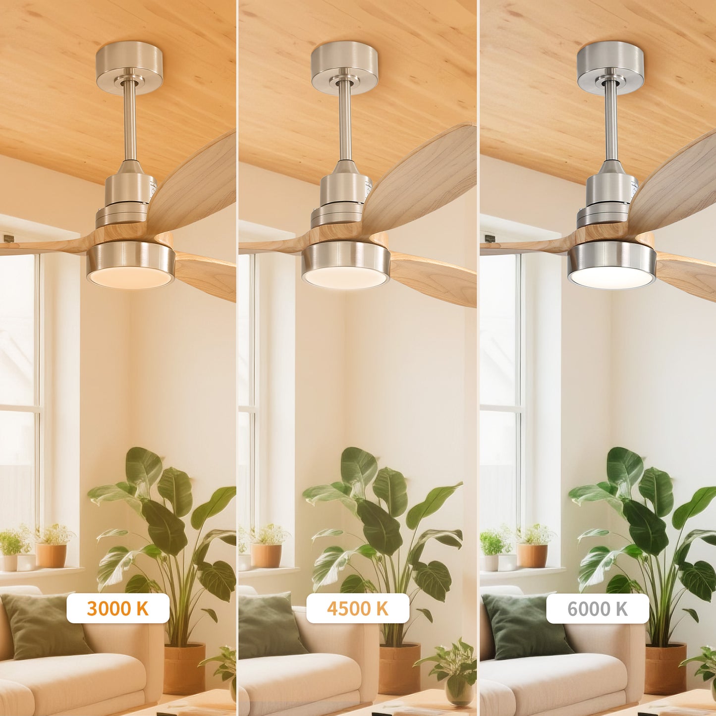 Taimei Selen 52 in. Downrod Standard Ceiling Fan with Integrated LED with Remote Included 3-Blade Reversible