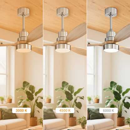 Taimei Selen 52 in. Downrod Standard Ceiling Fan with Integrated LED with Remote Included 3-Blade Reversible