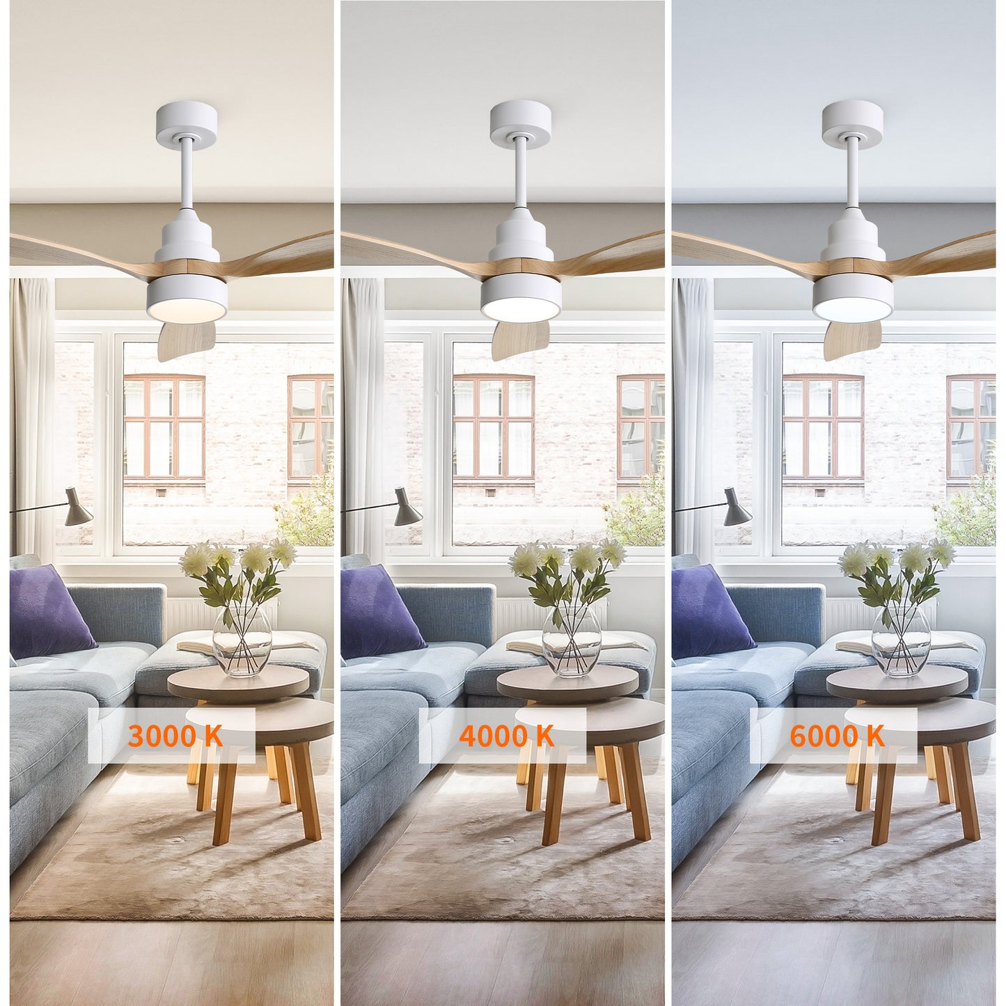 Taimei Auris 48 in. Downrod Standard Ceiling Fan with Integrated LED with Remote Included 3-Reversible Blades