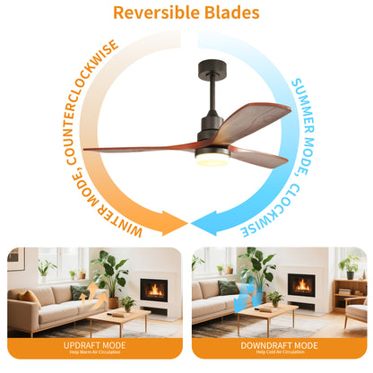 Taimei Nimis 52 in. Downrod Standard Ceiling Fan with Integrated LED with Remote Included DC Motor 8_3c1f81e8-6b87-46bb-91d7-642182c83d05