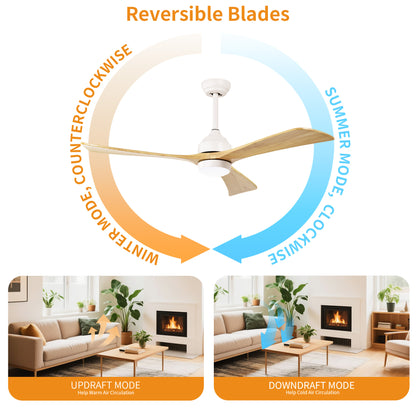 Taimei Helio 52 in. Downrod Modern Ceiling Fan with Dimmable LED with Remote Included DC Motor 8_4fc1a501-d540-48ba-9bee-34e78e007a58