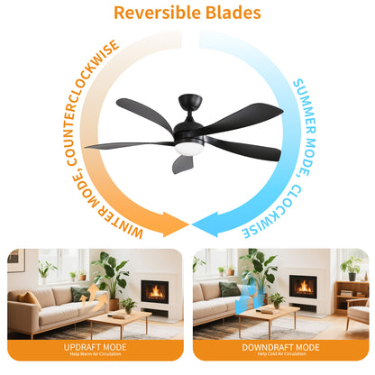 Taimei Sleek 52 in. Ceiling Fan - 5 Precision ABS Blades with Soft LED Light and Whisper-Quiet 6-Speed Remote Control 8_998bf4aa-665c-4ee0-a2b2-e90b85516798