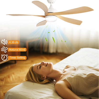 Taimei Sleek 52 in. Ceiling Fan - 5 Precision ABS Blades with Soft LED Light and Whisper-Quiet 6-Speed Remote Control 9_80cd9ced-6c7f-4539-8a76-b141ee37937c