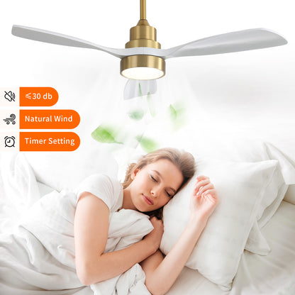 Taimei Auris 48 in. Downrod Standard Ceiling Fan with Integrated LED with Remote Included 3-Reversible Blades