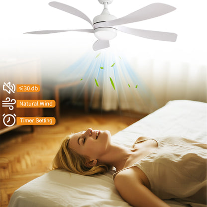 Taimei Sleek 52 in. Ceiling Fan - 5 Precision ABS Blades with Soft LED Light and Whisper-Quiet 6-Speed Remote Control 9_ecd77fa4-5b7b-4589-a01c-0d1a1752df22