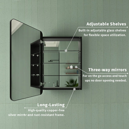 Framed Recessed or Surface-Mount Rectangular Matte Black Aluminum Medicine Cabinet with Mirror FMC-2330-BL04