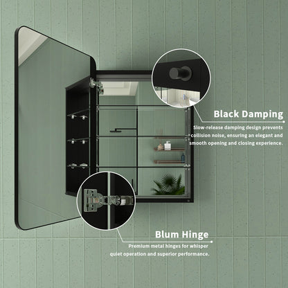 Framed Recessed or Surface-Mount Rectangular Matte Black Aluminum Medicine Cabinet with Mirror FMC-2330-BL05