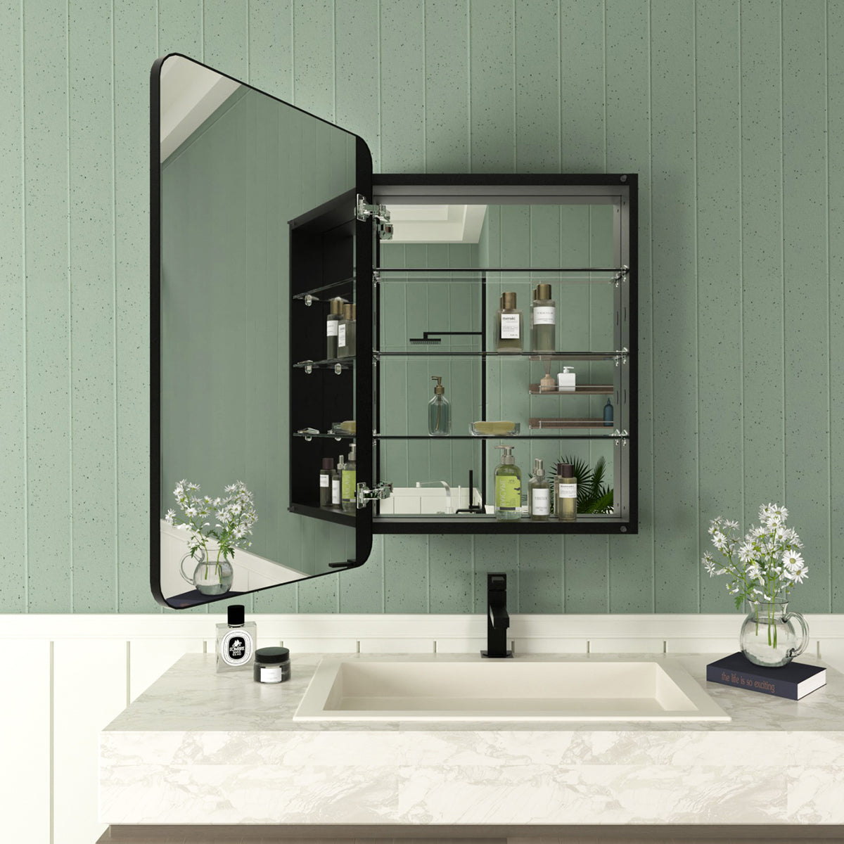 Framed Recessed or Surface-Mount Rectangular Matte Black Aluminum Medicine Cabinet with Mirror FMC-2330-BL13