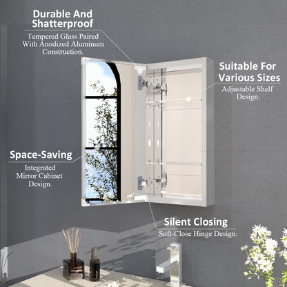 Flicker 12 in. W x 24 in. H Rectangular Aluminum or Surface-Mount Beveled Medicine Cabinet with Mirror
