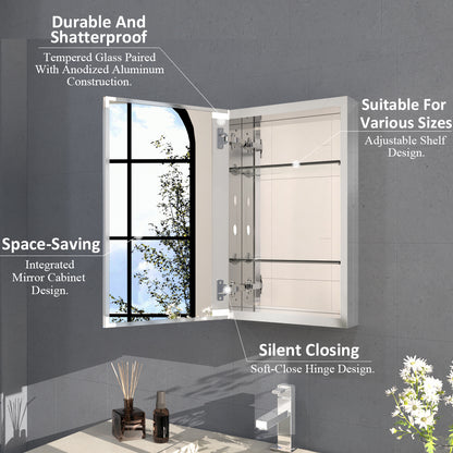 Flicker 15 in. W x 24 in. H Rectangular Aluminum or Surface-Mount Beveled Medicine Cabinet with Mirror