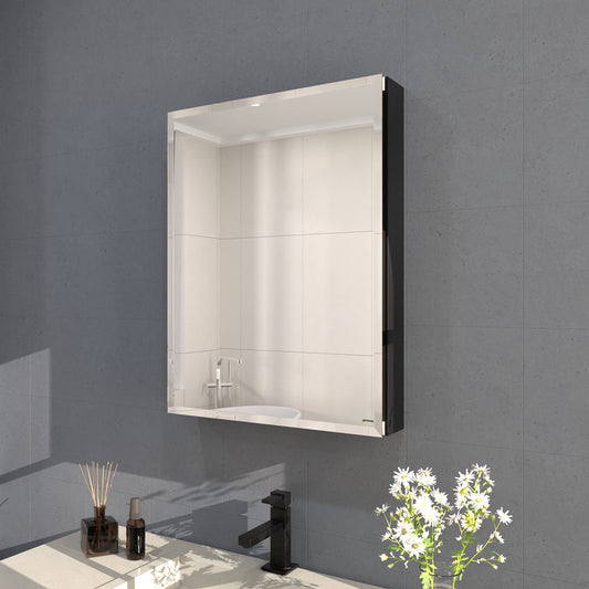 Flicker 23 in. W x 30 in. H Rectangular Aluminum or Surface-Mount Beveled Medicine Cabinet with Mirror
