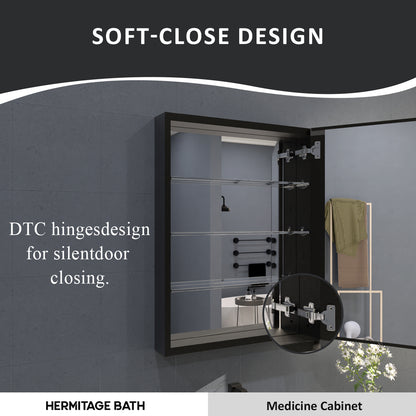Flicker 23 in. W x 30 in. H Rectangular Aluminum or Surface-Mount Beveled Medicine Cabinet with Mirror
