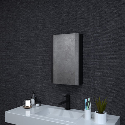 Niveal LUMCA Series Rectangular Aluminum Recessed/Surface Mount Medicine Cabinet with Mirror Matte Black 15 in. W x 24 in. H MMC-1524MB1