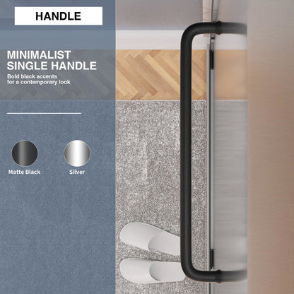 TaiMei Nexis 60 in. W x 76 in. H Sliding Framed Shower Door  with Clear Glass