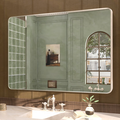 Cosy 48 in. W x 36 in. H Rectangular Framed Wall Bathroom Vanity Mirror SM-4836BN-2