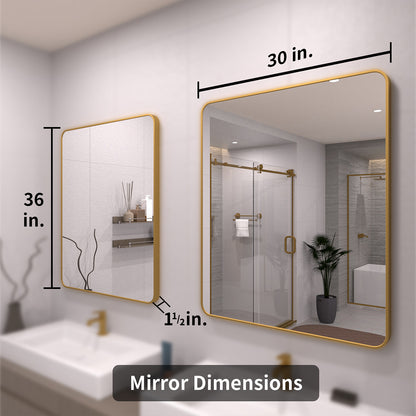 TaiMei 30 in. W x 36 in. H Vertical / Horizontal Rectangular Aluminum Framed Wall Mirror SM3036-BG-04
