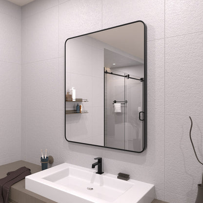 TaiMei 30 in. W x 36 in. H Vertical / Horizontal Rectangular Aluminum Framed Wall Mirror SM3036-BL-02