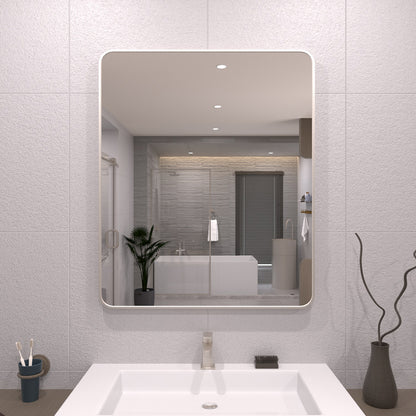 TaiMei 30 in. W x 36 in. H Vertical / Horizontal Rectangular Aluminum Framed Wall Mirror Brushed Nickel SM3036-BN-01_1d225a28-7e21-4771-a24d-ac696cc8efcc