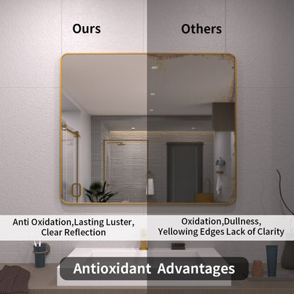 TaiMei 42 in. W x 36 in. H Vertical / Horizontal Rectangular Aluminum Framed Mirror