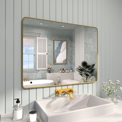 FMNP TaiMei 48 in. W x 36 in. H Rectangular Framed Wall Bathroom Vanity Mirror SM4836-BG-02_7cac6d19-40e8-474c-abcc-88c379f978c0