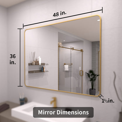 TaiMei 48 in. W x 36 in. H Vertical / Horizontal Rectangular Aluminum Framed Wall Mirror SM4836-BG-04