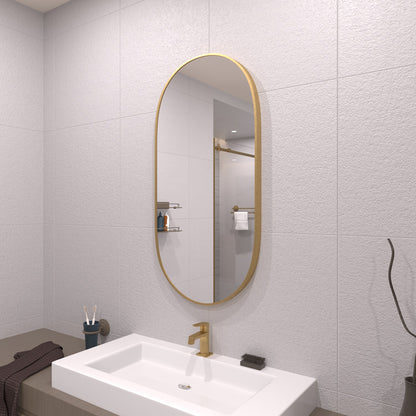 TaiMei 18 in. W x 36 in. H Vertical / Horizontal Oval Framed Wall Bathroom Mirror TV-1836-BG02